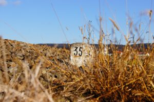 anaマイレージが貯まるクレジットカードはどれが最適？