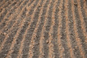 ポイント還元率が高いクレジットカードのランキングは？