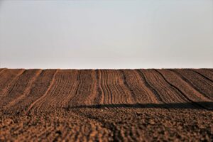 クレカの還元率を最大化するためのおすすめ活用法は？