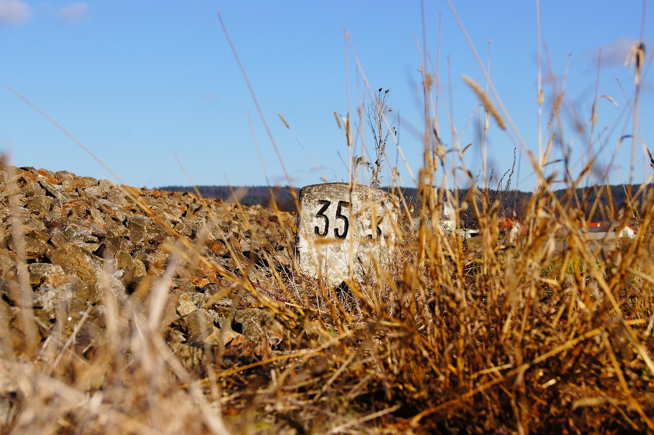 anaマイレージを効率よく貯める方法は？