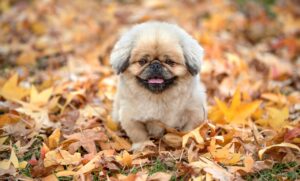 クレカの最強選びで失敗しないためのポイントは？