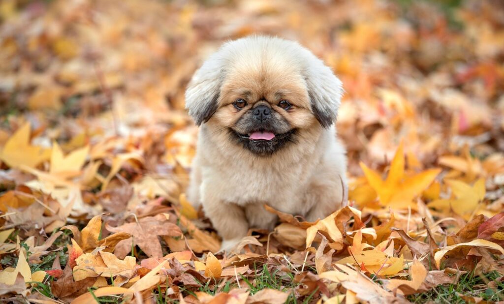 プライオリティパスを使った快適な空港ラウンジ体験とは？