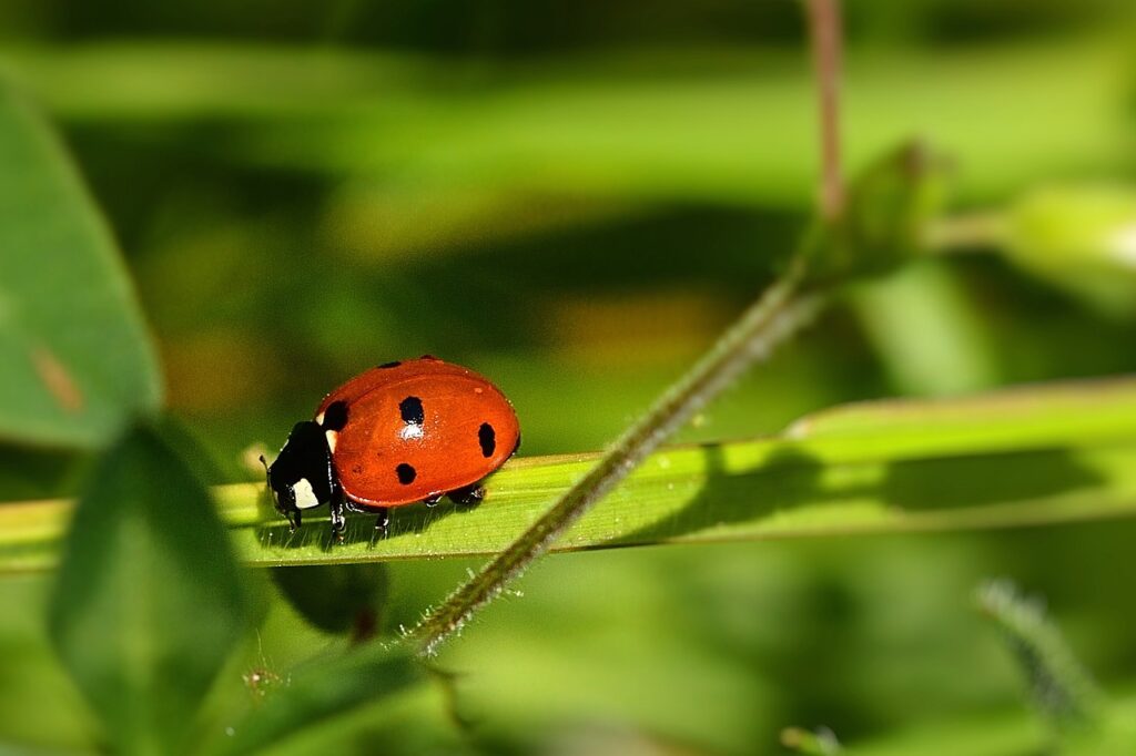 ポイント二重取りでおすすめの方法は？