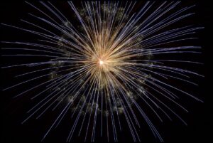 年会費無料のクレジットカードで得られる特典は？