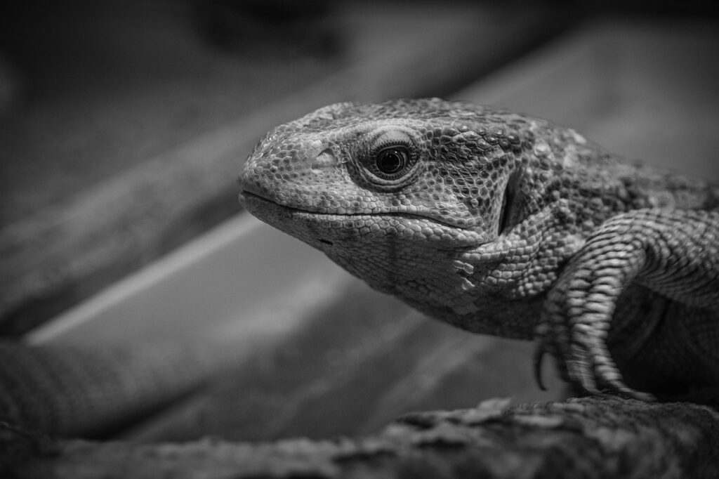 クレカで高還元を狙うための最適な選び方は？